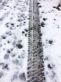 Close-up of snow covered field