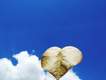 Low angle view of flowering plant against blue sky