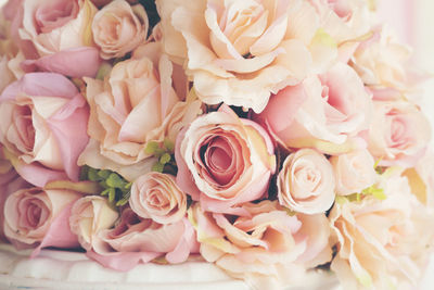 Close-up of roses