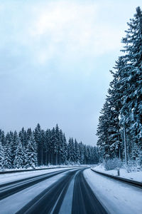 Snow covered road by trees against sky