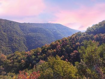 High angle view of trees and mountains against sky