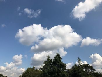 Low angle view of trees against sky