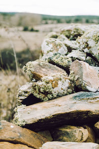 Close-up of rocks