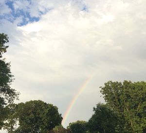 Low angle view of rainbow over trees