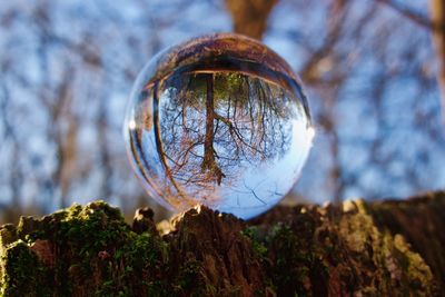 Close-up of crystal ball