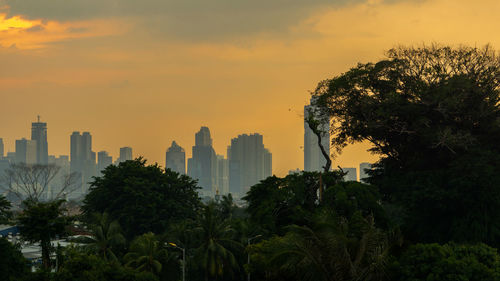 Trees and buildings against sky during sunset