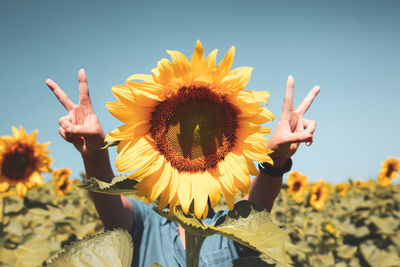 2022 sign from women's fingers and sunflowers.happiness time.