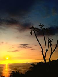 Silhouette tree by sea against sky during sunset