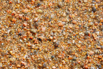 Full frame shot of pebbles on beach