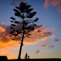 Low angle view of silhouette tree against orange sky