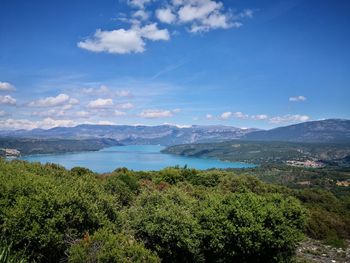 Scenic view of plants and mountains against sky