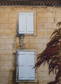 White shutters of an old stone building in provence. the building is covered with colorful plants