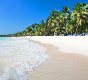 Scenic view of beach against blue sky