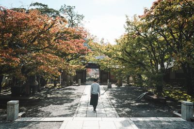 Rear view of woman walking on footpath amidst trees during autumn