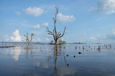 Scenic view of lake against sky