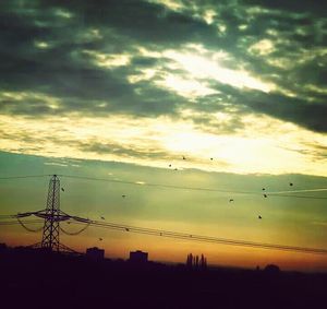 Silhouette of trees at sunset