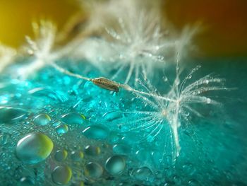 Close-up of water splashing in blue sea