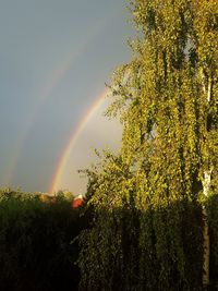 Low angle view of rainbow against sky