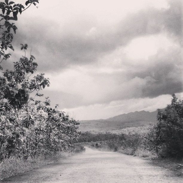 sky, tree, tranquility, tranquil scene, cloud - sky, the way forward, cloudy, landscape, scenics, nature, beauty in nature, road, weather, dirt road, cloud, overcast, non-urban scene, day, growth, outdoors