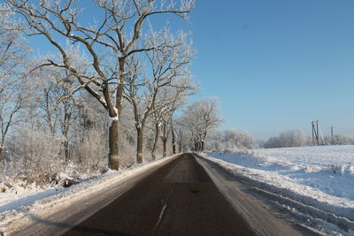 Road amidst bare trees against clear sky
