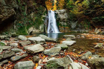 Scenic view of waterfall in forest