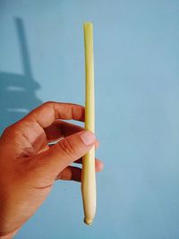 Cropped hand of person holding celery against wall