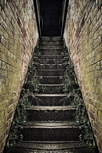 Low angle view of staircase