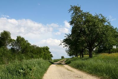 Dirt road by trees on field against sky