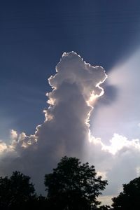 low angle view