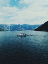 Sailboat moored at harbor