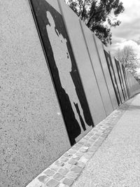 Close-up of person shadow on tree against sky