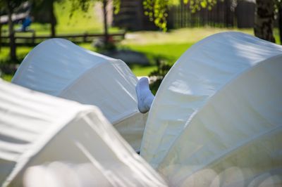 Close-up of tent