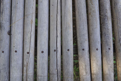 Full frame shot of bamboo fence