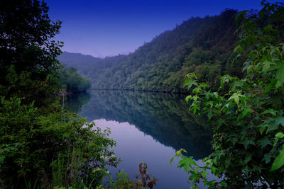 Scenic view of lake by trees against clear sky