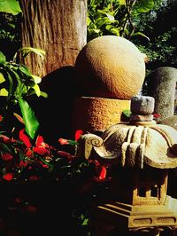 Potted plants in pot