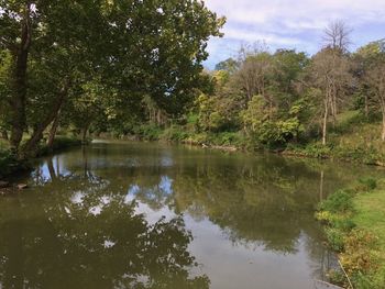 Scenic view of lake in forest against sky