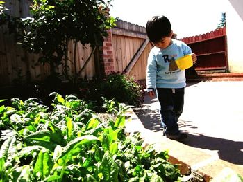 Full length of boy in pond