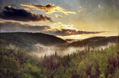 Scenic view of river against sky