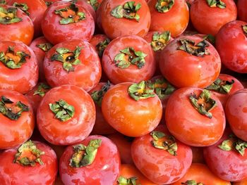 Full frame shot of persimmons arranged for sale