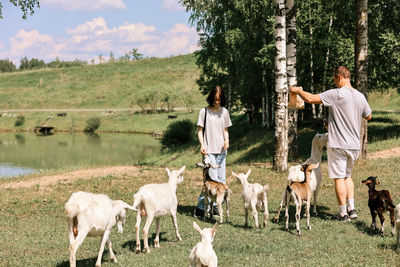 Dad and daughters feed goats in a clearing in the forest