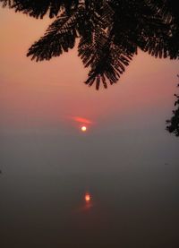 Silhouette trees against sky during sunset