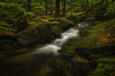 Scenic view of waterfall in forest