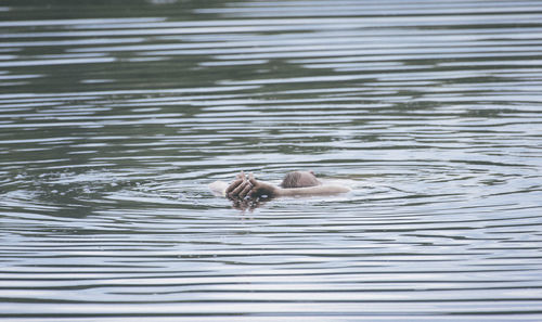 Senior man swimming in lake