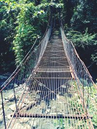 View of bridge in forest