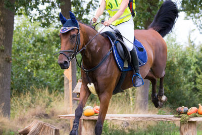 Low section of person horseback riding