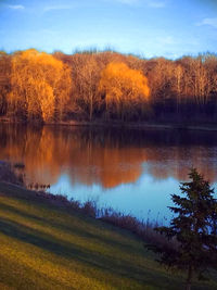 Scenic view of lake by trees against sky