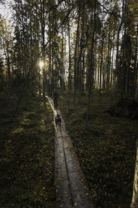Man walking on footpath amidst trees in forest