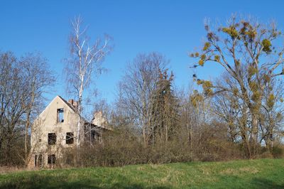 Trees and plants on field against sky