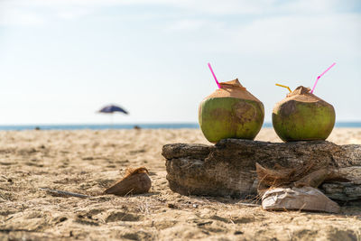 Close-up of fruits on rock at beach against sky