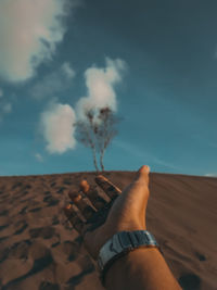 Cropped hand of man gesturing against tree on sand dune against sky